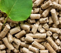 Pellettejä biomassasta