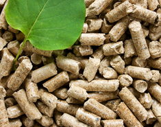 Pellettejä biomassasta